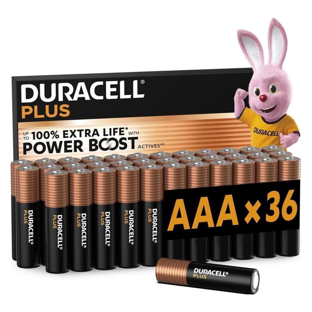 AAA Alkaline Batteries – Power Pack