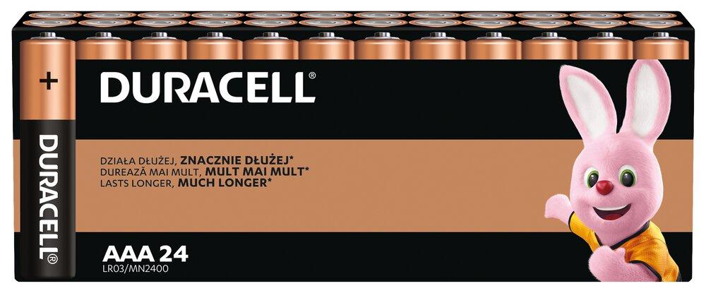 AAA Alkaline Batteries – Power Pack